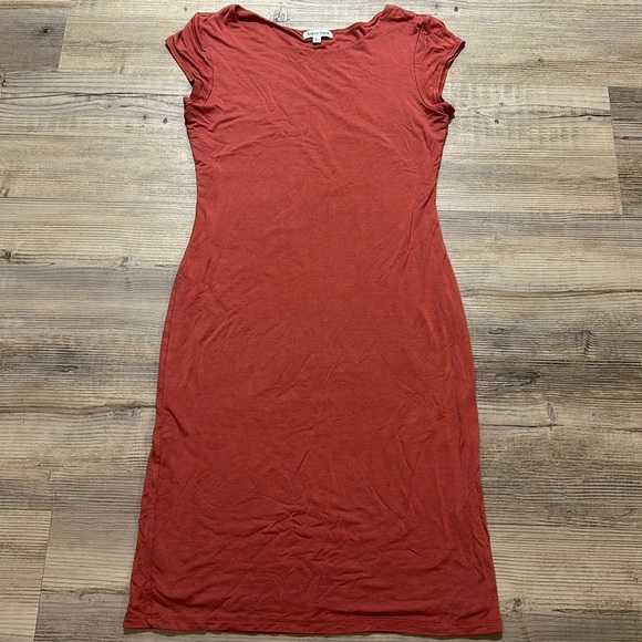 Velvet Torch Dresses & Skirts - Mid length Terra cotta dress